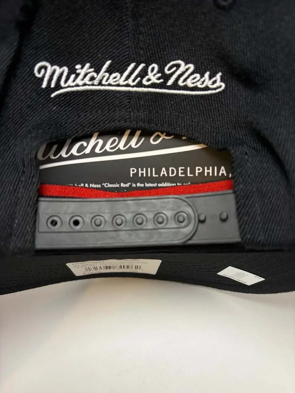 Mitchell & Ness Toronto Raptors Team Script 2.0 Stretch Snapback Hat Cap